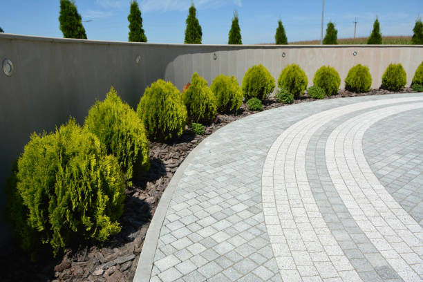Best Driveway Paving Company  in Caldwell, NJ